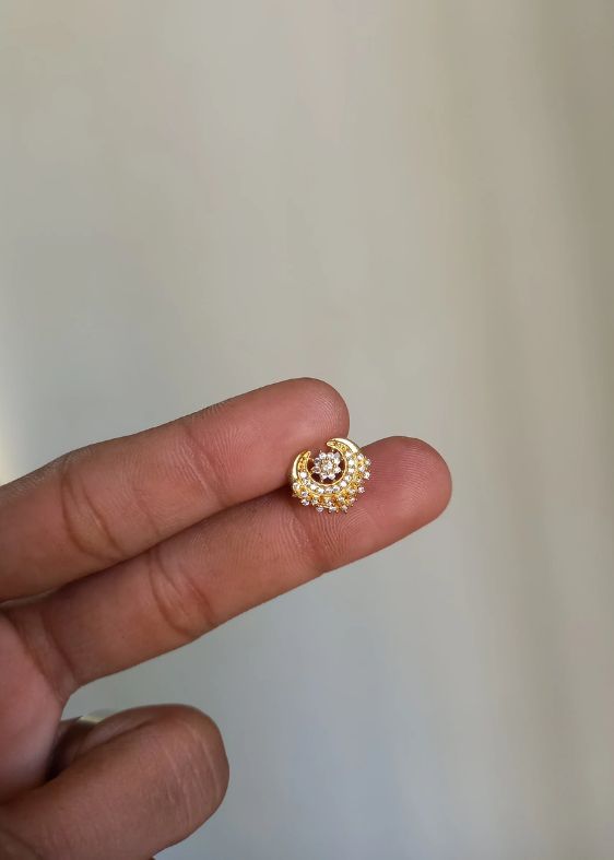 Ayush Silver Nosepins