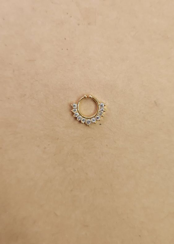 Septum Silver Nosepins 01