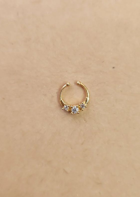 Septum Silver Nosepins 02