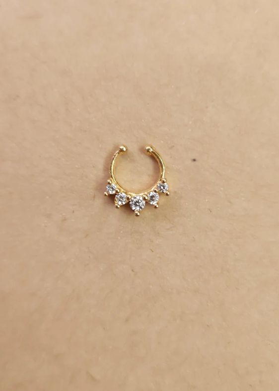 Septum Silver Nosepins 03