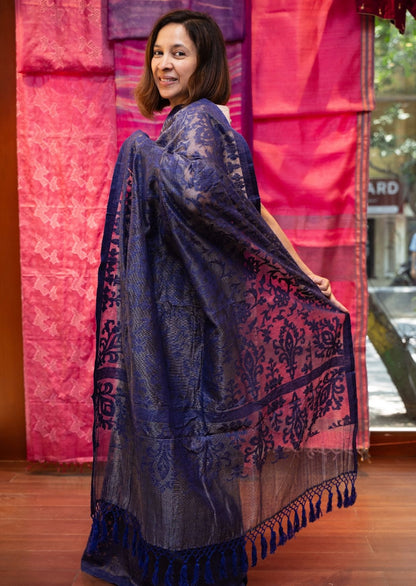 Navy Nargis Banarasi Cutwork Saree