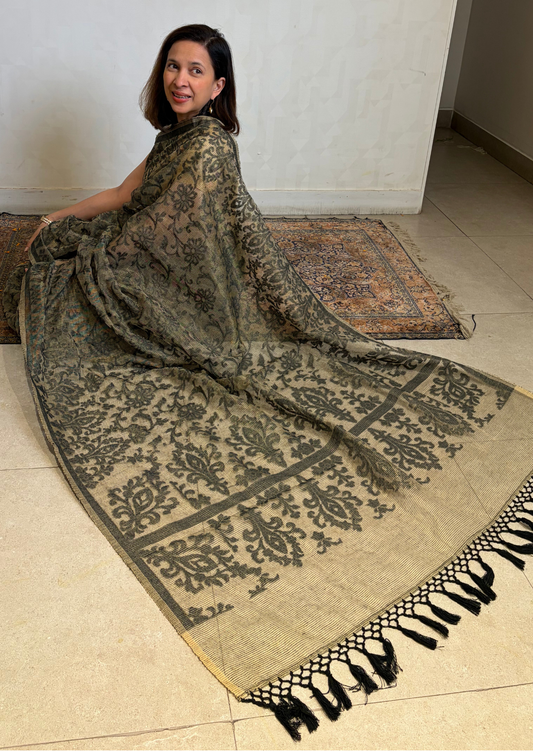 Black Nargis Banarasi Cutwork Saree