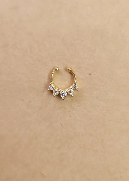 Septum Silver Nosepins 03